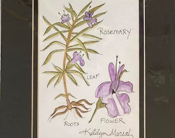 Botanical watercolor painting of Rosemary