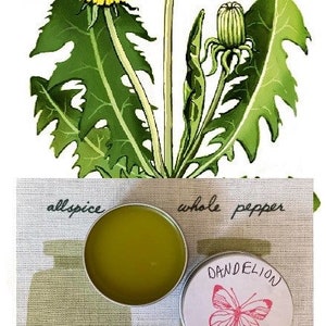 Dandelion Flower Healing Salve muscles and joints relief salve liver salve