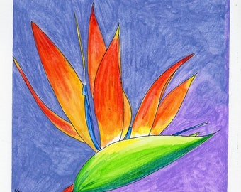 Painting of Bird of Paradise Flower