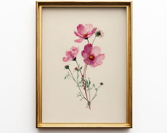Cosmos Flower Botanical Print: Pink Floral Vintage Sketch (Digital Download) 19
