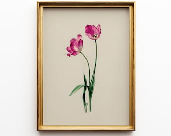Pink Tulip Botanical Print: Vintage Floral Wall Art (Digital Download) 3