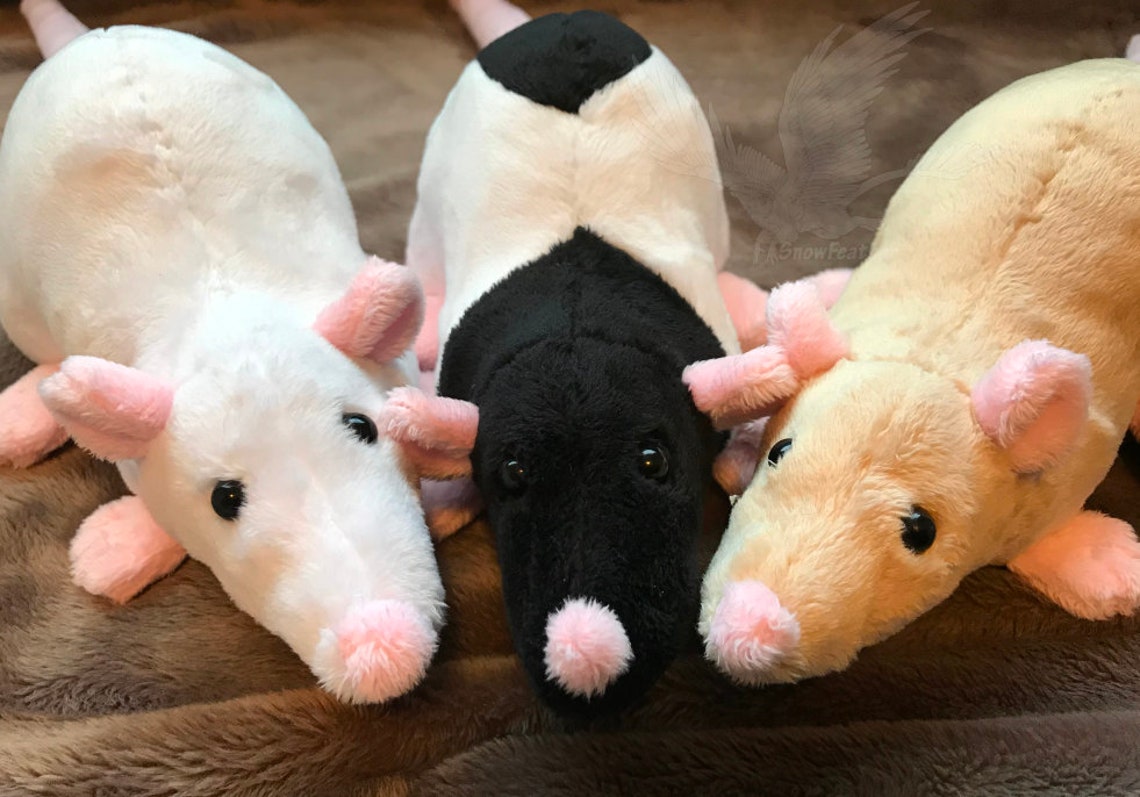Rat Sewing Pattern PDF Sewing Tutorial and Pattern Etsy Canada