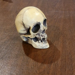 randotti skull 2体 セット 60s 70s スカル 髑髏 50s - メルカリ
