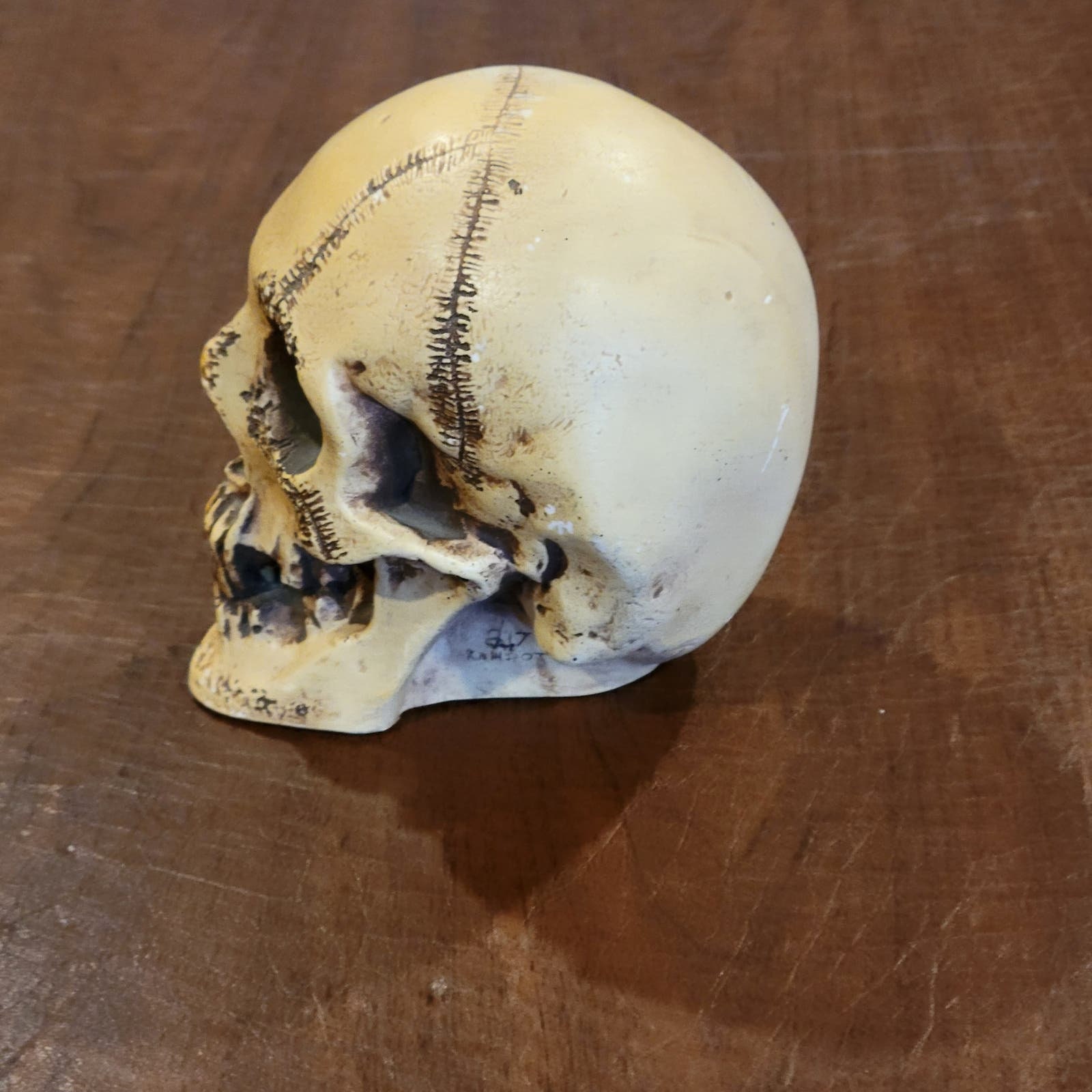 Vintage Rare Disneyland Haunted Mansion Randotti Skull - Etsy
