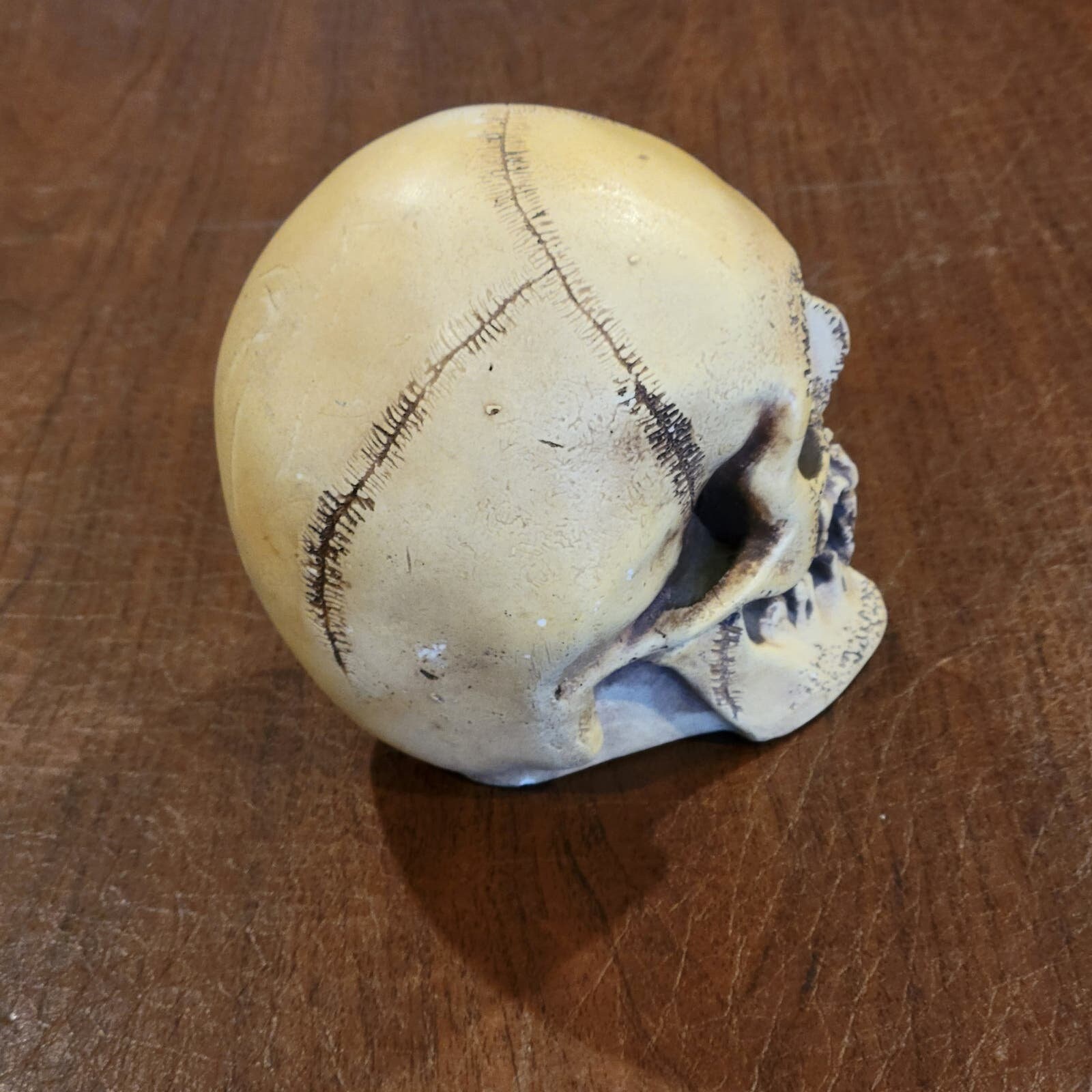 randotti ビンテージ　スカル　置物　ディズニー　髑髏　骸骨　義眼 Vintage Rare Disneyland Haunted Mansion Randotti Skull - Etsy