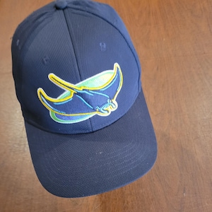 May include: Navy blue baseball cap featuring a stylized stingray logo in blue, yellow, and green. The cap has a curved brim and a structured crown. The logo is embroidered on the front.