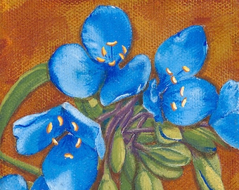 Spiderwort Flower, blue wildflower, image sublimated on ceramic coffee cup.