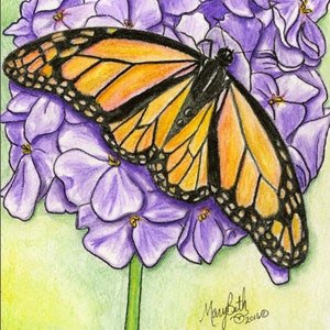 May include: A monarch butterfly with orange and black wings is perched on a cluster of purple flowers. The butterfly's wings are spread open, showing the intricate patterns on its wings. The flowers are in bloom and have a delicate, feminine appearance.
