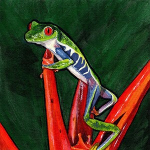 May include: A green and blue frog with red eyes sits on a bright red and yellow flower. The frog is perched on the flower with its legs outstretched. The background is a dark green.