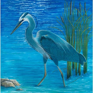 May include: A blue heron stands in shallow blue water with green reeds in the background. The heron has a long neck and long legs. The water is rippled and reflects the sky. The painting is signed "The Majestic" by Mary Beth Nelson.