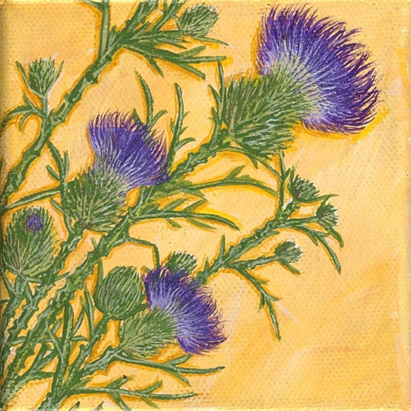 Thistle Art, Purple Thistle, wildflower, Limited Edition Giclee' Print, on 6"x6" canvas. Unframed