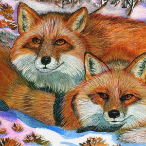 Coffee Mug, Red Foxes, Fox Art, Sublimated.