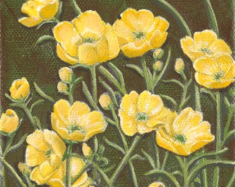 Buttercups, wildflower, Limited Edition Giclee' Print, on 6"x6" canvas. Unframed