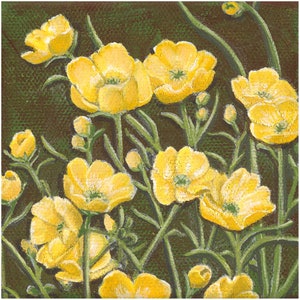 Ceramic Tile, Buttercup flowers on dark green background, native wildflowers, sublimated onto a decorative tile.