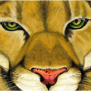 Könnte beinhalten: Nahaufnahme eines Pumas mit grünen Augen und einer rosafarbenen Nase. Der Puma schaut direkt auf den Betrachter.