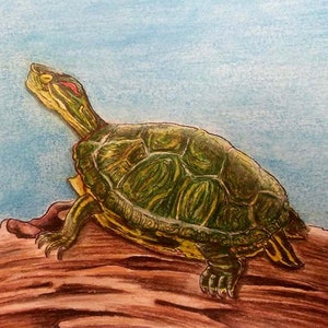 Ceramic Tile, Red Eared Slider, Oklahoma native turtle image sublimated onto a decorative, ceramic tile with easel back and tab for hanging.