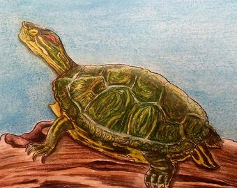 Red Eared Slider, Oklahoma native turtle image sublimated onto a decorative, ceramic tile with easel back and tab for hanging.