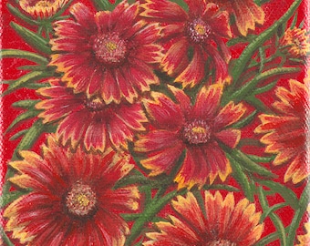 Indian Blanket Wildflower Giclée Print, Oklahoma Art, 6x6 Canvas