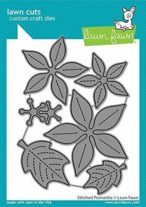 euphorbia variegata Variegated Euphorbia Poissonii - Rare Variegated Succulent Plant - Exotic  Indoor Plant main image 0