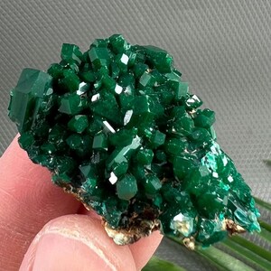 RARE Sparkly Dioptase from Reneville, Kindanba, Republic of the  Congo, Crystal, Green mineral , gift , top gem , Collection , NA4686