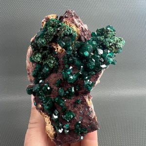Könnte beinhalten: Ein lebendiges, natürliches Mineralexemplar mit Clustern aus tief smaragdgrünen Kristallen. Die Kristalle sind auf einer Matrix aus rötlich-braunem und beigem Gestein angeordnet, was einen auffälligen Kontrast erzeugt. Die Mineralformation ist ein einzigartiger Blickfang.