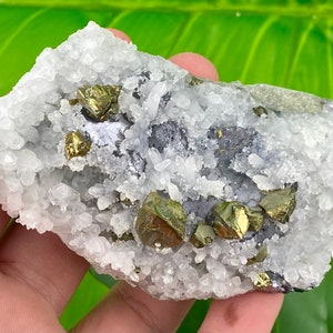 Chalcopyrite and Galena on Milky Quartz from Krushev dol mine, Madan, Bulgaria,  Crystal,  Mineral ,  N1258