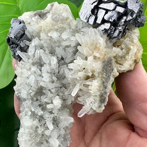 Skeletal Galena and Chalcopyrite on Quartz  from 9th September mine, Madan , Bulgaria , Natural Crystal, Mineral, N0121