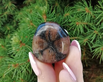 Chiastolite , Chiastolite souvenire , Chiastolite crystal , Chiastolite mineral, Tumbled Stone, Chiastolite tumbled, N0166