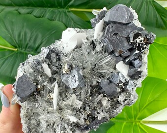 May include: A cluster of gray galena crystals with clear quartz crystals and a small amount of pyrite. The crystals are arranged in a natural, organic pattern.