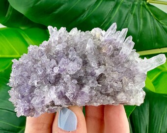 ブルガリア ハスコヴォ チャラ鉱山産トップ アメジスト、紫色の鉱物