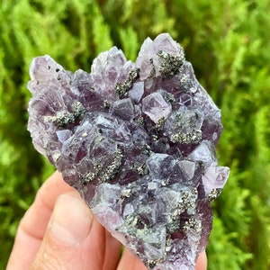 Lovely Amethyst with Pyrite from Chala mine, Haskovo, Bulgaria , Rare Purple Mineral , Purple Crystal , stone , gem , N 8408