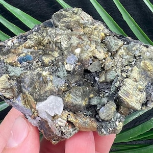 Rare Iridescent Chalcopyrite with Sphalerite - Krushev dol mine, Madan, Bulgaria, Mineral, rock, Crystal, collection, NA2098