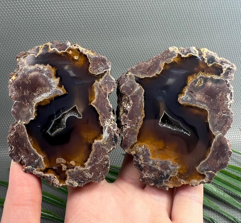 Set Polished Agate Geode From Studen Kladenets, Bulgaria | Dark Brown ...