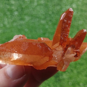 Può includere: Un gruppo di cristalli di quarzo arancioni con un aspetto traslucido e vetroso. I cristalli sono disposti in un motivo casuale e organico, creando una mostra unica e accattivante.