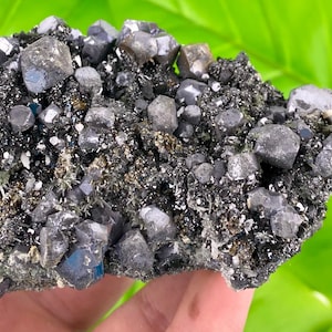 Galenit, Pyrit, Sphalerit, Chlorit und Quarz aus der Borieva Mine, Madan, Bulgarien, Natürliches Mineral, Sammlung, NA101