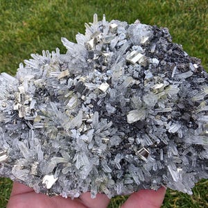 May include: A cluster of clear quartz crystals with a silvery metallic pyrite embedded in a dark gray matrix. The crystals are sharp and pointed, and the pyrite is shiny and reflective.
