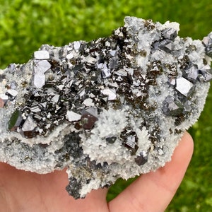 Gem Sphalerite (Cleiophane) and Galena on Quartz with Chlorite from Krushev dol mine, Madan, Bulgaria, Crystal, Collector Mineral N9652