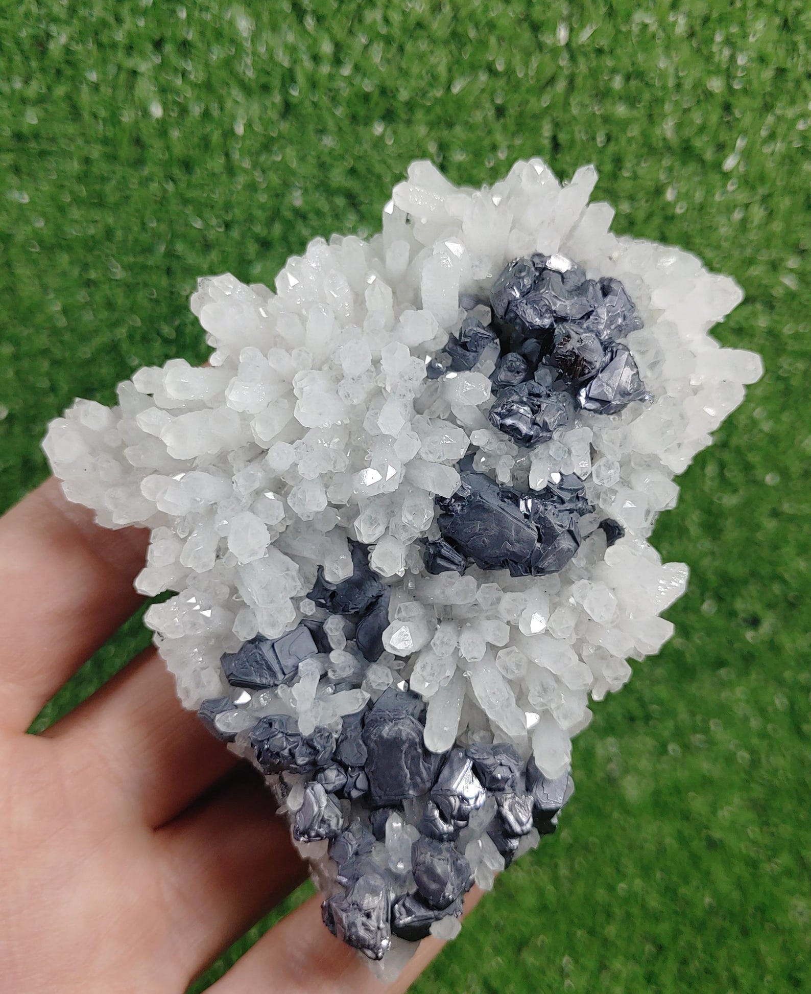 Galina Roc Galena on Quartz, Rare Morphology Galena From Krushev Dol Mine, Madan ...