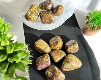 May include: A collection of tumbled leopard jasper stones. The stones feature a mix of brown, yellow, and reddish-brown patterns. Some stones are in a clear glass dish, while others are arranged on a black surface.