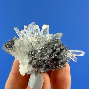 Duidelijke kwarts (egel) met galena (spinel-tweeling) uit de Krushev-dolmijn, Madan, Bulgarije, natuurlijk mineraal, collectie, N9837