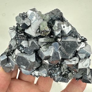 Amazing Galena on Sphalerite, Chalcopyrite and Quartz from Varba mine, Madan, Bulgaria, Natural Crystal, Mineral, Rare Morphology, N9170