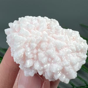 Aesthetic Mangano Calcite with Mini Sphalerite from Krushev dol mine, Madan, Bulgaria, Pink Crystal , Mineral, NA2167