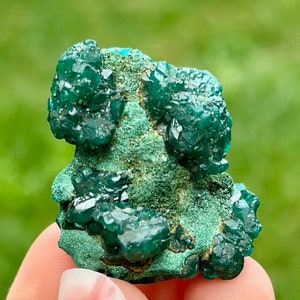 Superbe dioptase sur malachite, dioptase verte, pierre, cristal vert, minéral vert, vert profond, cadeau, pierre précieuse N1195