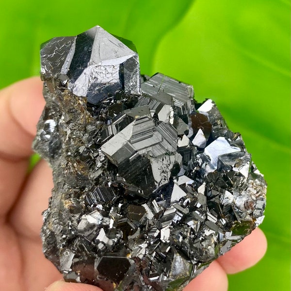 Amazing Mirror Galena with Sphalerite from Borieva mine, Madan, Bulgaria, Natural Crystal, Lustrous Mineral, Rare Morphology, N0367