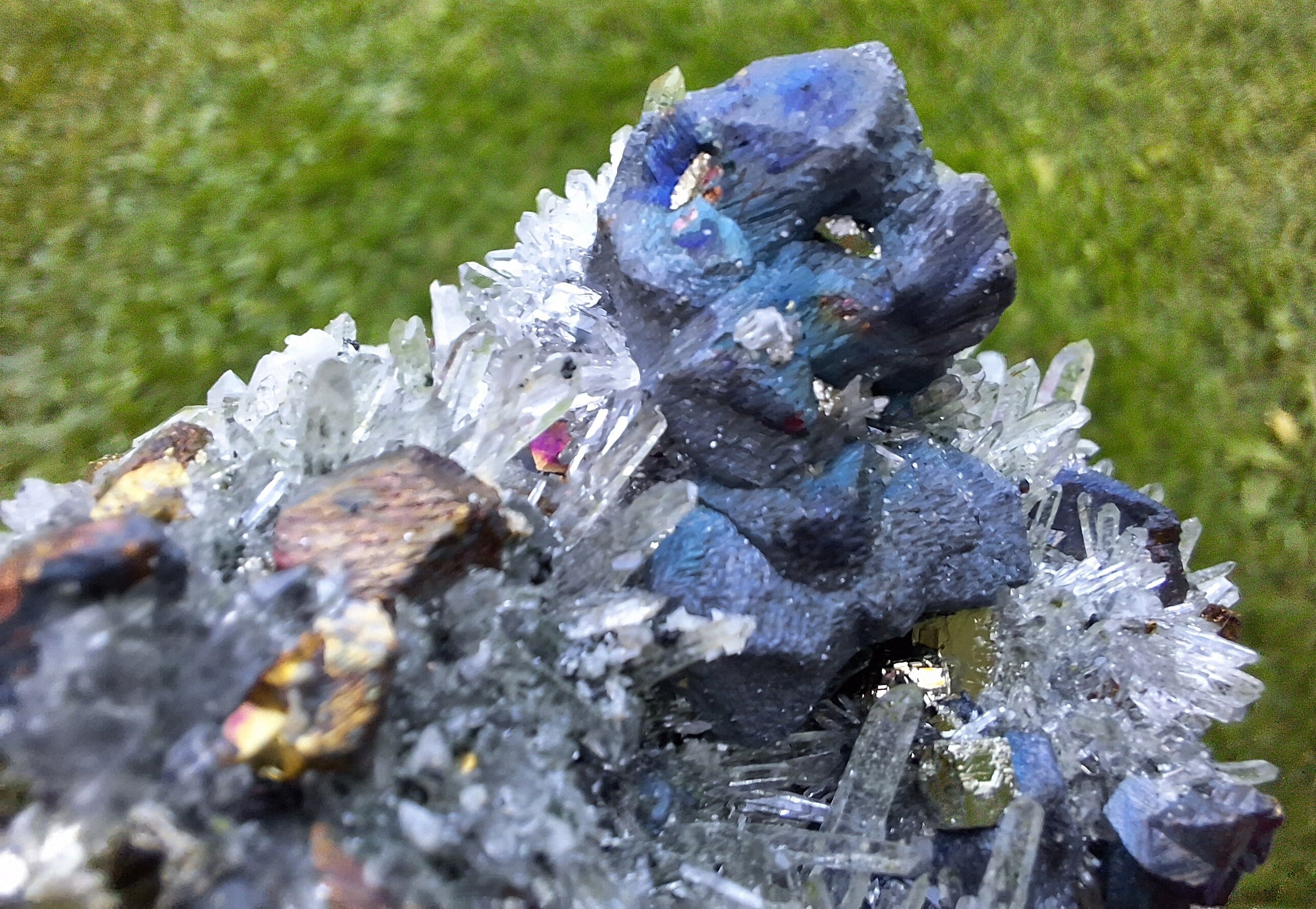 VERY RARE Iridescent Chalcopyrite and Pyrite Epitaxy cov