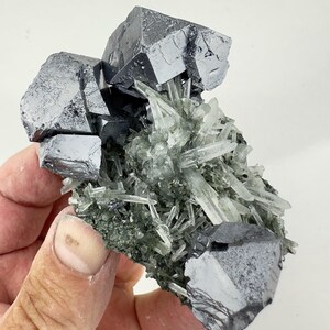 Galena on Quartz with Chlorite from Borieva mine, Madan, Bulgaria, Natural Crystal,  Mineral,  Collection, N1605