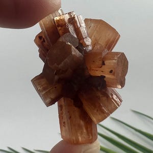 Könnte beinhalten: Ein Cluster aus orange-braunen Aragonitkristallen, gehalten zwischen Fingern. Die Kristalle haben eine prismatische Form und eine durchscheinende Qualität mit einem warmen, erdigen Ton. Die Mineralprobe befindet sich vor einem weißen Hintergrund mit grünen Akzenten.