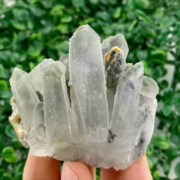 Améthyste étonnante avec quartz et chlorite de la mine de Djurkovo, Bulgarie, Minéral, Violet, Cristal, cadeau, gemme supérieure, pierre, collection, N8765