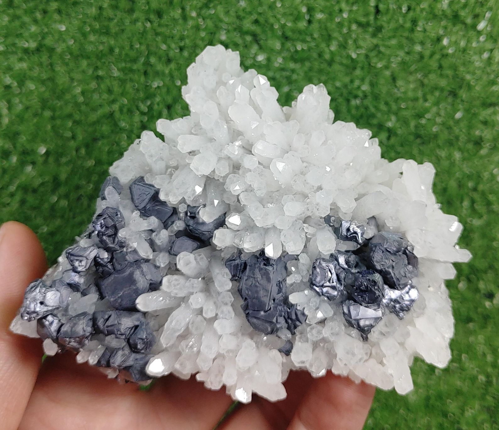 Galina Roc Galena on Quartz, Rare Morphology Galena From Krushev Dol Mine, Madan ...