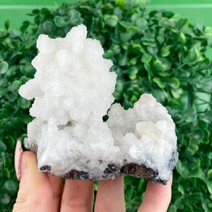 Op de afbeelding: Een witte kristalkluster met een ruw, getextureerd oppervlak. De kristal is een natuurlijke formatie met een unieke vorm en een grijze basis.